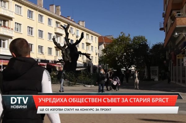 Учредиха Обществен съвет за Стария бряст в  Сливен