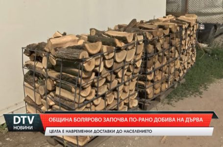 Община Болярово започва по-рано добива на дърва