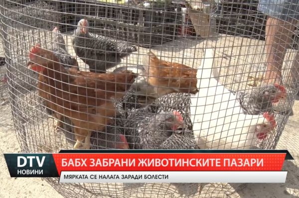 Българската агенция по безопасност на храните забранява пазарите за животни в цялата страна.