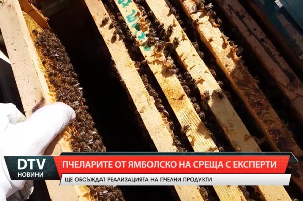 Ще се проведе среща, свързана със сектор „Пчеларство“ в ОД по безопасност на храните – Ямбол!