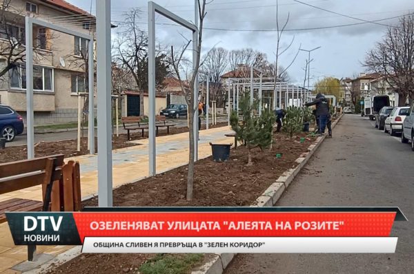 В навечерието на пролетния сезон в Сливен започна озеленяването по улица „Никола Фурнаджиев“.