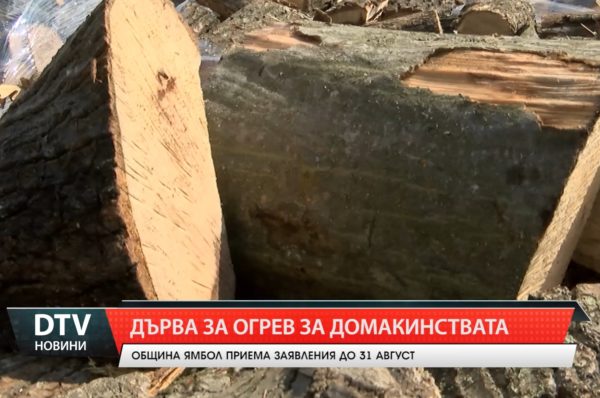 Община Ямбол приема заявления за дърва за огрев за лична употреба.