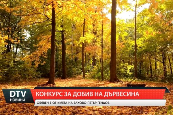 Кметът на община Елхово Петър Гендов откри конкурс за добив на дървесина от горските територии.