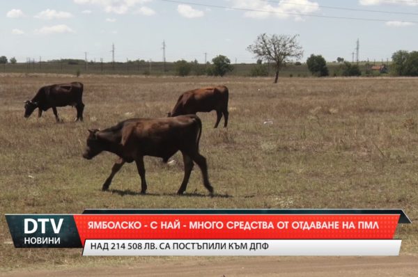 Ямболска област е подала най-много средства от отдаването на пасища, мери и ливади.