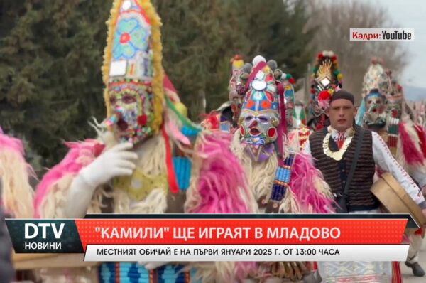 В първия ден от Новата 2025 година отново ще играят Камили в сливенското село Младово.