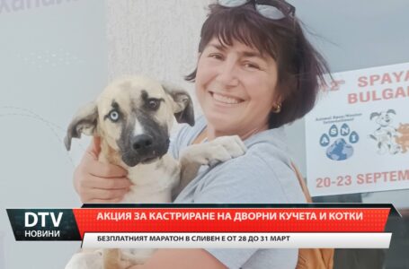 В Сливен предстои безплатното кастриране на домашни кучета и котки.