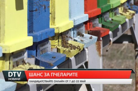 ДФ „Земеделие“ отваря втори прием за подпомагане в пчеларството