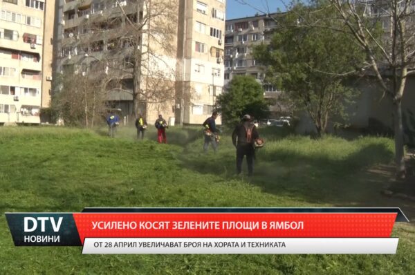 Усилено косене на тревните площи започна още през миналата седмица в Ямбол.