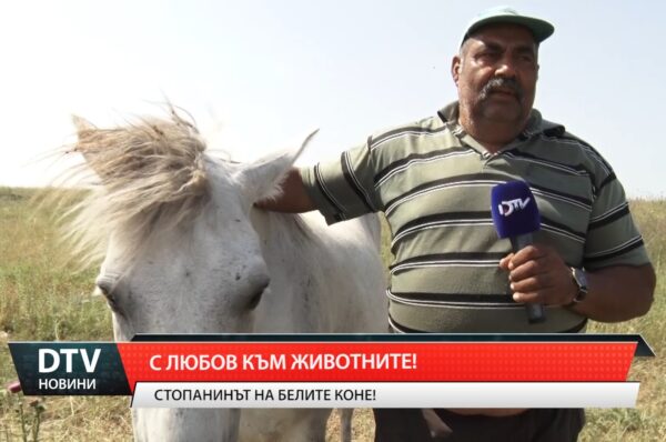 Летни истории: С любов към животните! Стопанинът на белите коне!