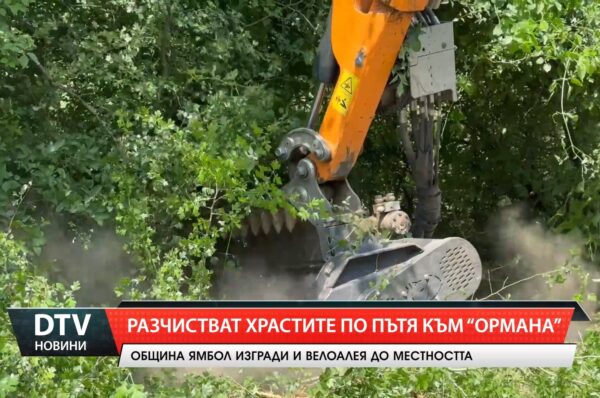 Служители на  община Ямбол Започнаха разчистването на храсти по пътя към местност „Ормана“ в Ямбол