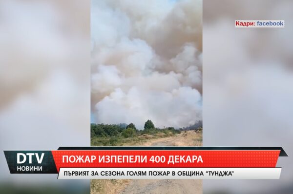 Пожар изпепели 400 декара в землището на село Овчи кладенец