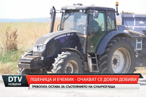 Пшеница и ечемик – очакват се добри добиви