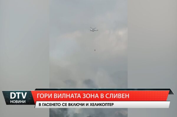 Гори вилната зона в Сливен