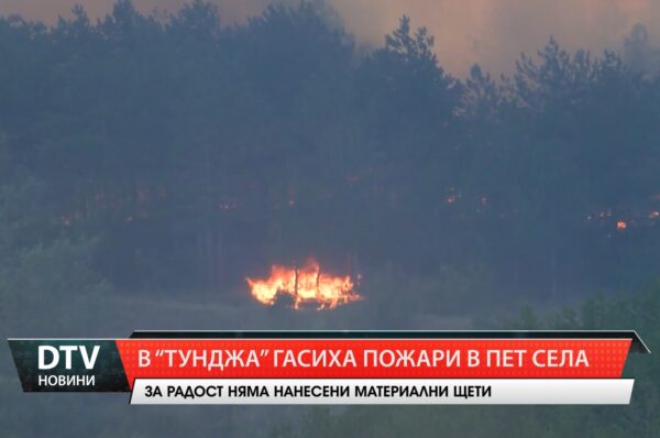 В „Тунджа” гасиха пожари в пет села