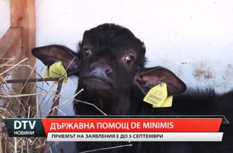 Държавна помощ de minimis
