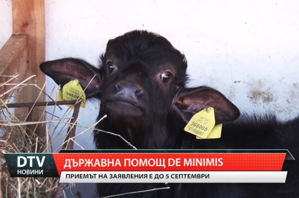 Държавна помощ de minimis