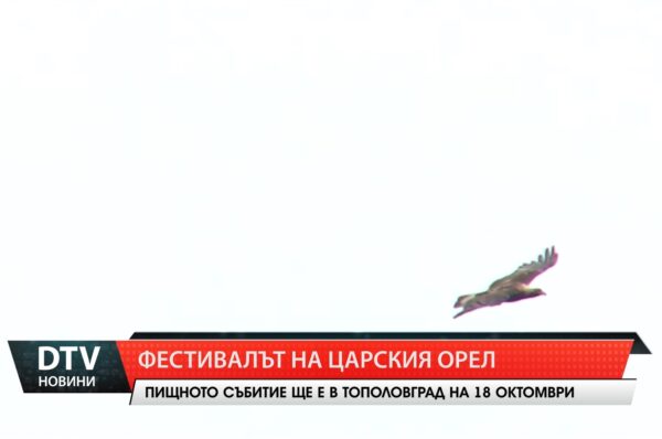 Фестивалът на царския орел