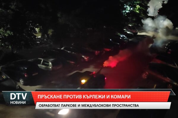 Пръскане против кърлежи и комари
