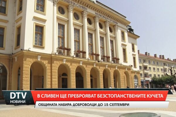 В Сливен ще преброяват безстопанствените кучета