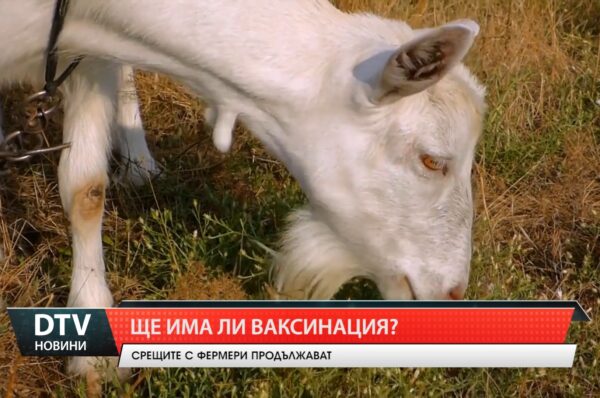Ще има ли ваксинация?