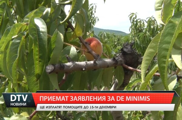 Приемат заявления за de minimis