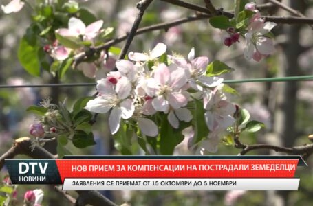 Нов прием за компенсации на пострадали земеделци