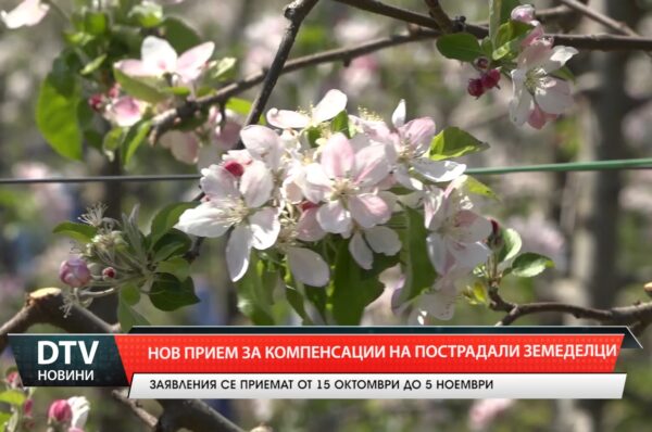 Нов прием за компенсации на пострадали земеделци