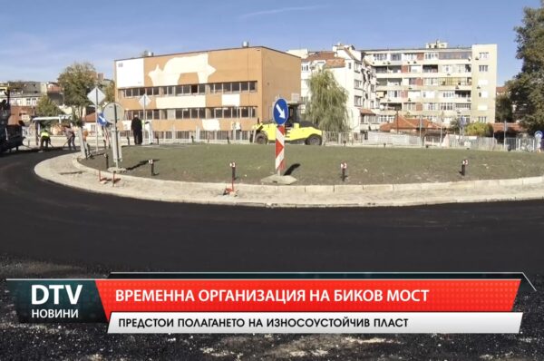 Временна организация на Биков мост