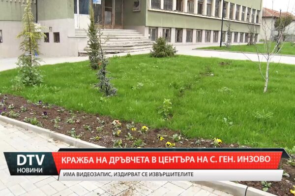 Кражба на дръвчета в центъра на село Ген.Инзово