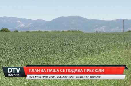 План за паша се подава през юли