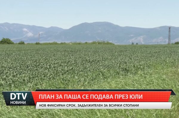 План за паша се подава през юли