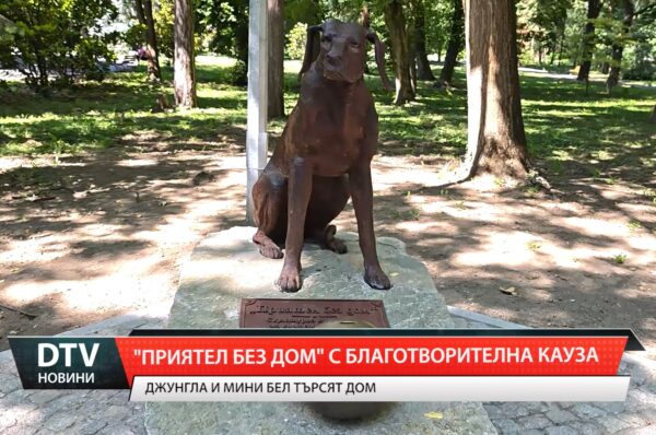 „Приятел без дом“ с благотворителна кауза