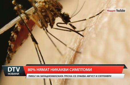 80 % нямат никакви симптоми