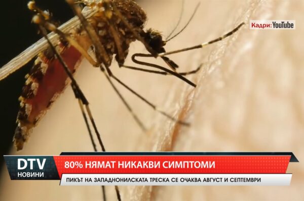 80 % нямат никакви симптоми